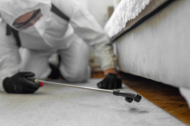 Professional Bed Bug Control technician working in Childersburg, AL
