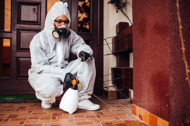 Reliable Bed Bug Control contractor in Childersburg, AL by Nex Pest Control
