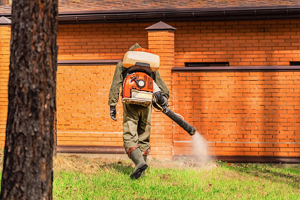 Trusted Emergency Pest Control service in Childersburg, AL - Nex Pest Control